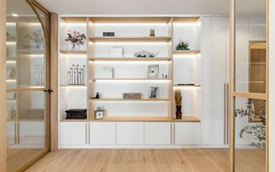 Librería y armario con iluminación LED